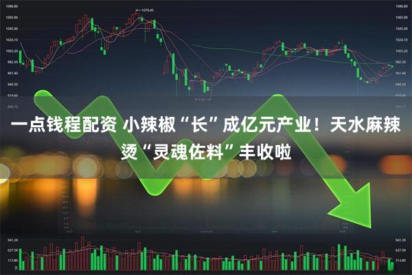 一点钱程配资 小辣椒“长”成亿元产业！天水麻辣烫“灵魂佐料”丰收啦