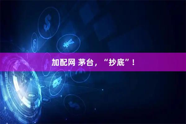 加配网 茅台，“抄底”！