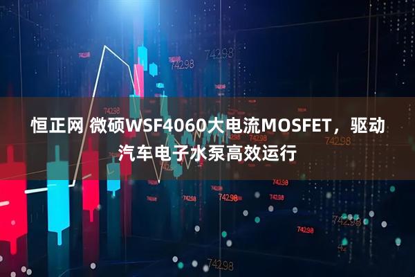 恒正网 微硕WSF4060大电流MOSFET，驱动汽车电子水泵高效运行