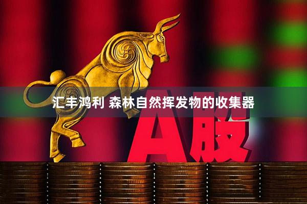 汇丰鸿利 森林自然挥发物的收集器